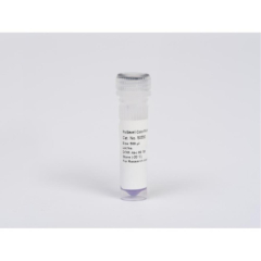 Lonza ProSieve Color Protein Marker 10-190 kDa