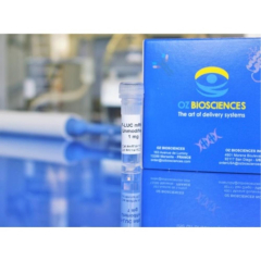 Oz Biosciences F-Luc Reporter Gene mRNA