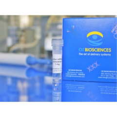 Oz Biosciences Beta-Gal Reporter Gene mRNA Modified N1-Methyl-Pseudouridine