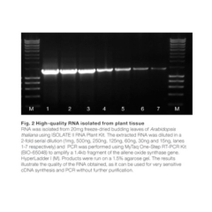 Meridian Bioscience ISOLATE II RNA Plant Kit