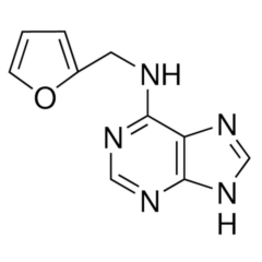 Kinetin, BioReagent, plant cell culture tested, amorphous powder