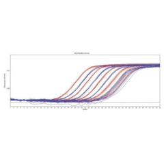 Meridian Bioscience SensiFAST cDNA Synthesis Kit