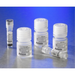 AxyPrep Mag Plant DNA