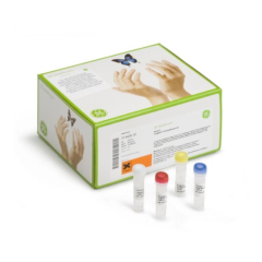 illustra TempliPhi Amplification Kit