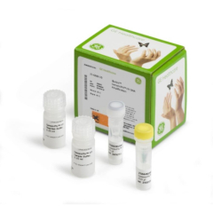 Cytiva GenomiPhi HY DNA Amplification Kit