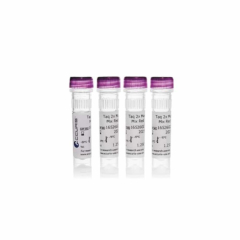 Accuris Taq Master Mix Red Dye 2X Conc