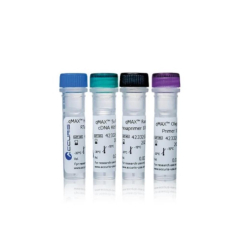 Accuris qMAX First Strand cDNA Synthesis Flex Kit