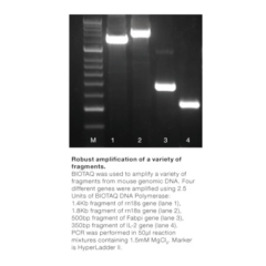 Meridian Bioscience BIOTAQ DNA Polymerase