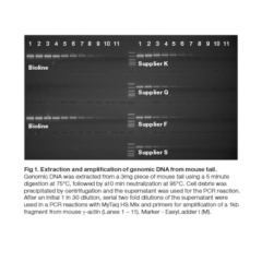 Meridian Bioscience MyTaq Extract-PCR Kit