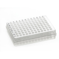 Azenta Life Sciences Standard 96 Well PCR Plate Skirted H1 Cut Corner