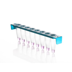 Azenta Life Sciences 0.2mL 8-Well PCR Tube Strips with PC Frame with Flat Strip Caps