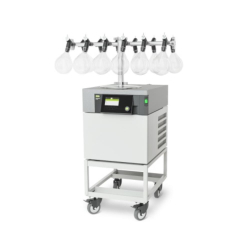 Freeze Drying