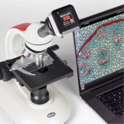 Microscope Cameras