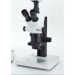 Stereo Microscopes