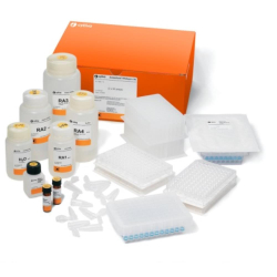 RNA Purification