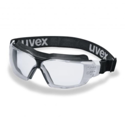 Goggles