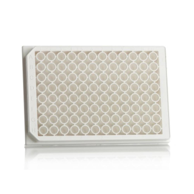 Azenta Life Sciences 96 Well Solid Bottom Luminescence Assay Plate White Polystyrene Microplate