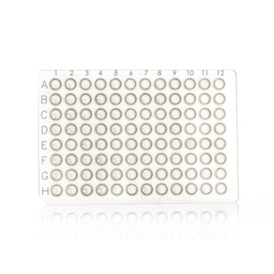 Azenta Life Sciences FrameStar 96 Well PCR Plate Non-Skirted Clear Frame Clear Wells H1 Cut Corner