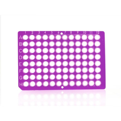 Azenta Life Sciences FrameStar 96 Well PCR Plate Non-Skirted Low Profile Purple Frame Clear Wells H1
