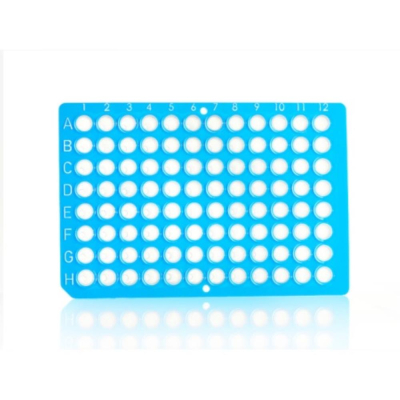 Azenta Life Sciences FrameStar 96 Well PCR Plate Non-Skirted Low Profile Blue Frame Clear Wells H1 C