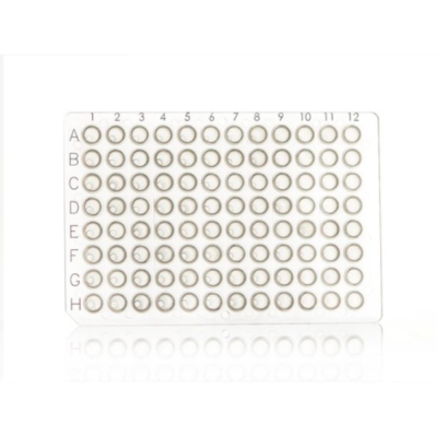 Azenta Life Sciences FrameStar 96 Well PCR Plate Non-Skirted Low Profile Clear Frame Clear Wells H1