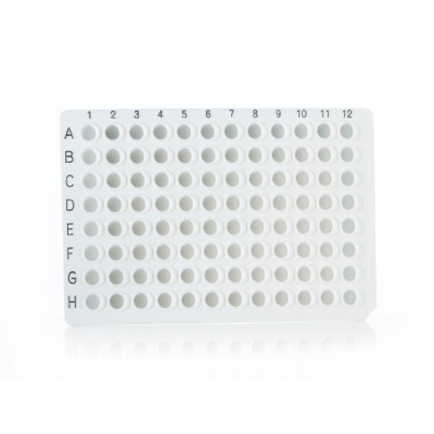 Azenta Life Sciences 96 Well PCR Plate Non-Skirted White H12 Cut Corner