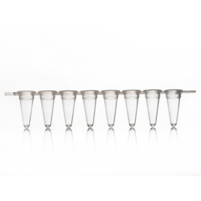 Azenta Life Sciences 96 Well PCR Plate with Removable 8 Well Tube Strips Skirted Clear H1 Cut Corner