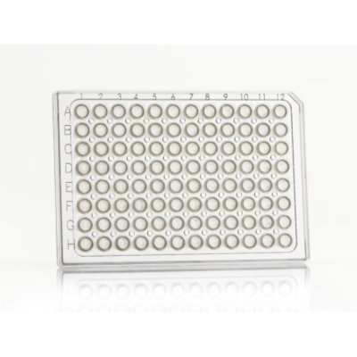 Azenta Life Sciences FrameStar 96 Well PCR Plate Semi-Skirted Clear Frame Clear Wells A12 Cut Corner