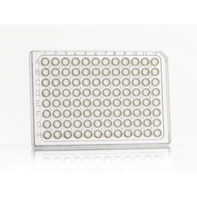 Azenta Life Sciences FrameStar 96 Well PCR Plate Semi-Skirted Clear Frame Clear Wells A12 Cut Corner