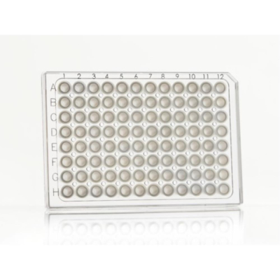 Azenta Life Sciences FrameStar 96 Well PCR Plate Semi-Skirted Clear Frame Frosted Wells A12 Cut Corn
