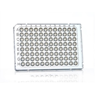 Azenta Life Sciences FrameStar 96 Well PCR Plate Semi-Skirted ABI Fastplate Style Low Profile Clear
