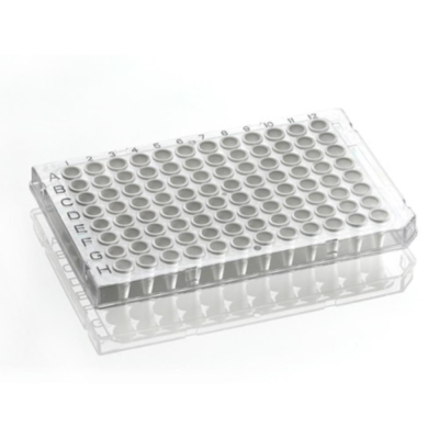 Azenta Life Sciences FrameStar 96 Well PCR Plate Semi-Skirted Roche Style Low Profile Clear Frame Wh