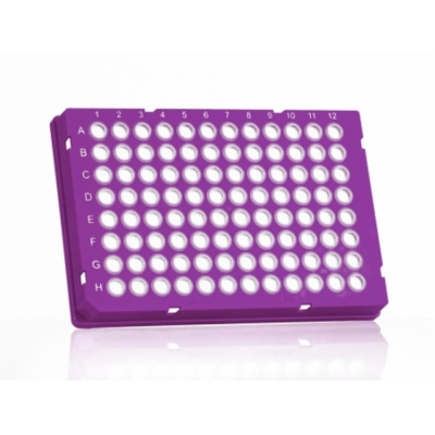 Azenta Life Sciences FrameStar 96 Well PCR Plate Skirted Low Profile Purple Frame Clear Wells H1 Cut