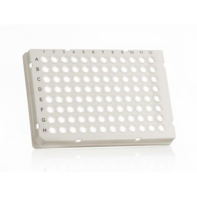 Azenta Life Sciences FrameStar 96 Well PCR Plate Skirted Low Profile White Frame Clear Wells H1 Cut