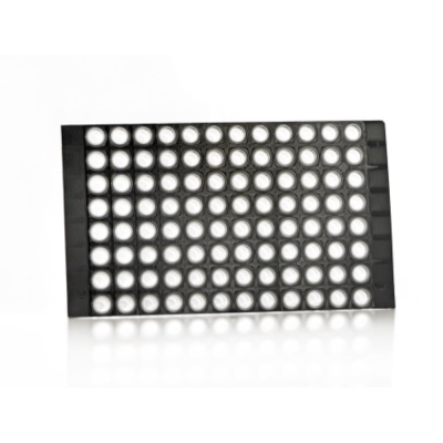 Azenta Life Sciences 96 Well PCR Plate Breakable Vertically and Horizontally Non-Skirted Black Frame