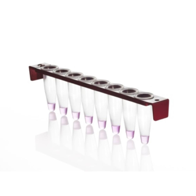 Azenta Life Sciences 0.2mL 8-Well PCR Tube Strips with PC Frame with Flat Strip Caps Clear Wells Red