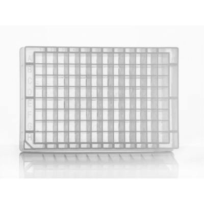 Azenta Life Sciences 96 Well Polypropylene Storage Plates Deep-Well Square Wells 2.2mL Total Well Vo