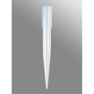 Pipette Tips Bevelled 1000ul Blue