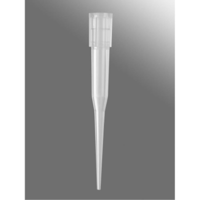Axygen 250uL Clear Tips For Beckman Coulter Automation Systems 96 Tips Per Rack Non-Sterile