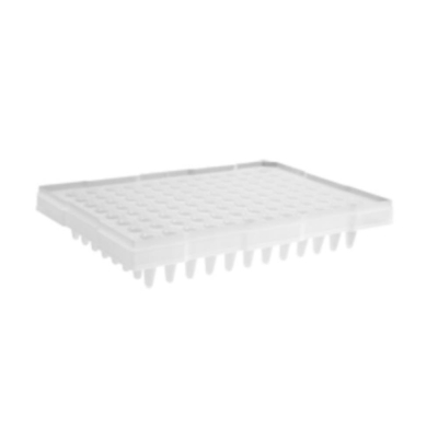 Axygen 96 Well PCR Plate Clear Semi-Skirted and Single Notch Corner