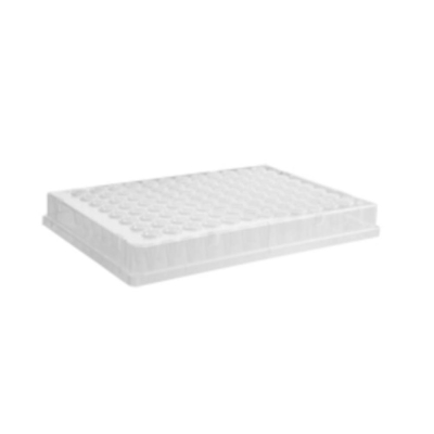 Axygen 96 Well PCR Plate Clear Full Skirt and Single Notch Corner