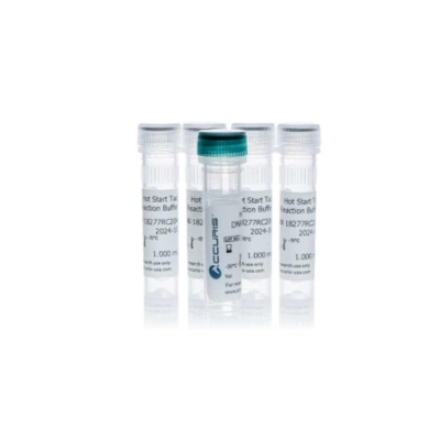 Accuris Hot Start Taq - 500 Units