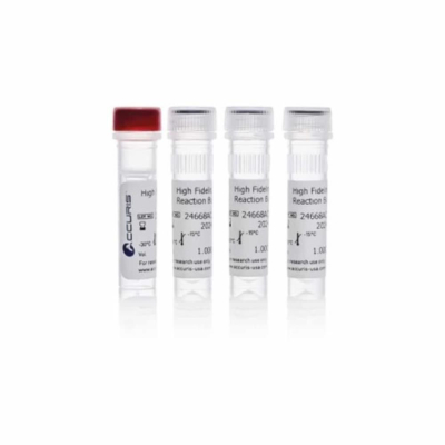 Accuris High Fidelity DNA Polymerase - 1000 Units