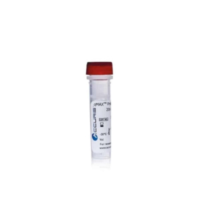 Accuris qMax Probe Low Rox qPCR Mix - 100 Reactions