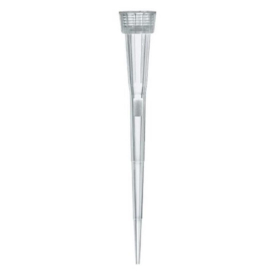 BRAND Filter Tips Racked TipRack 0.5-10uL Non-sterile PP/PE-filter IVD Colourless