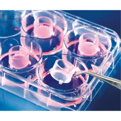 BRAND 6-well Insert 2in1 PET-membrane 0.4um