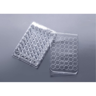 Cell Scientific Polystyrene Tissue Culture Plate  48-Well TC Treated