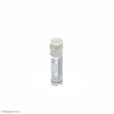 ClearLine Cryogen Tube 2mL Self Standing Internal Stella Cap Graduated with Barcode Sterile