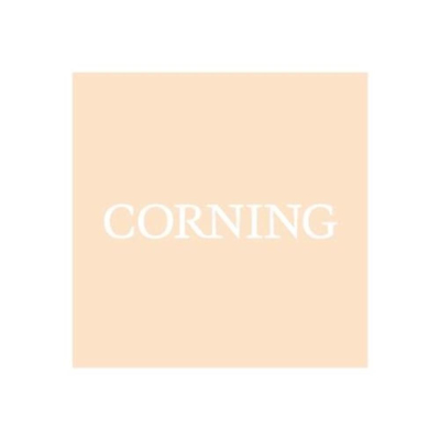 Corning Boss Head Support Clamp for use with  Corning Temp Probe Support Clamp