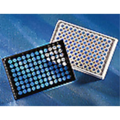 Corning 96 Well Black with Clear Flat Bottom High Bind Microplate 25 per Bag without Lid Nonsterile